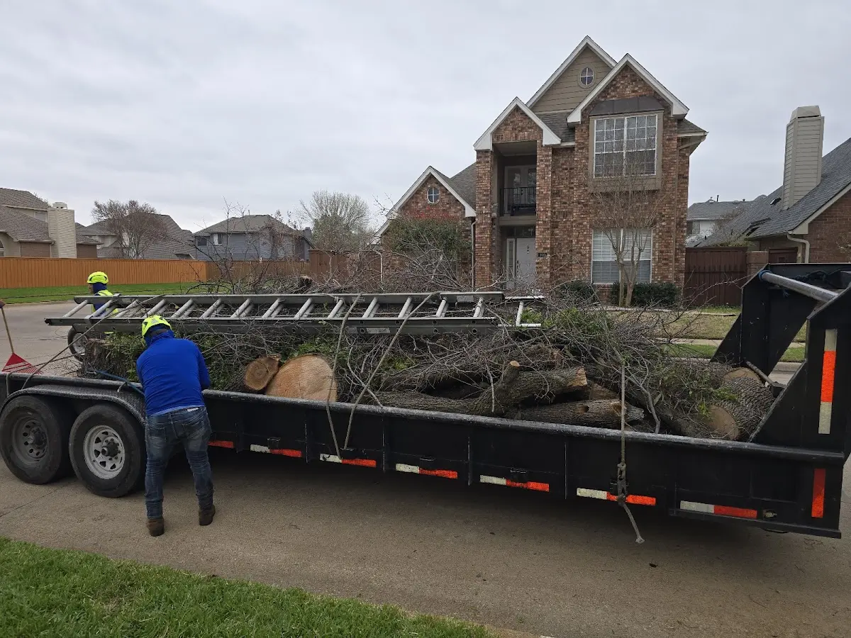Expert Lot Clearing with proper safety equipment in Richville